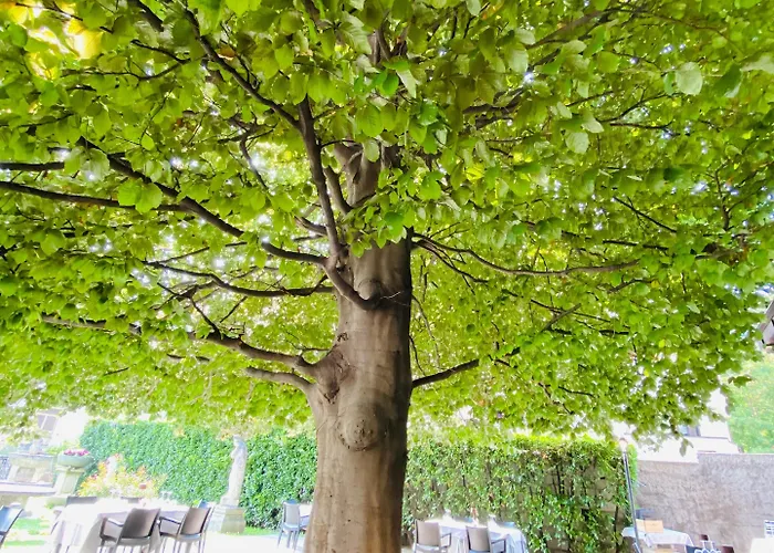 Nasti Ristorante Отель Canzo